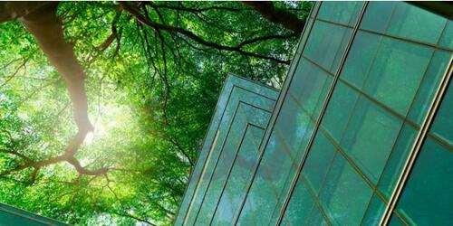 Skyscraper in a forest
